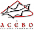 Logo acebo 115x101